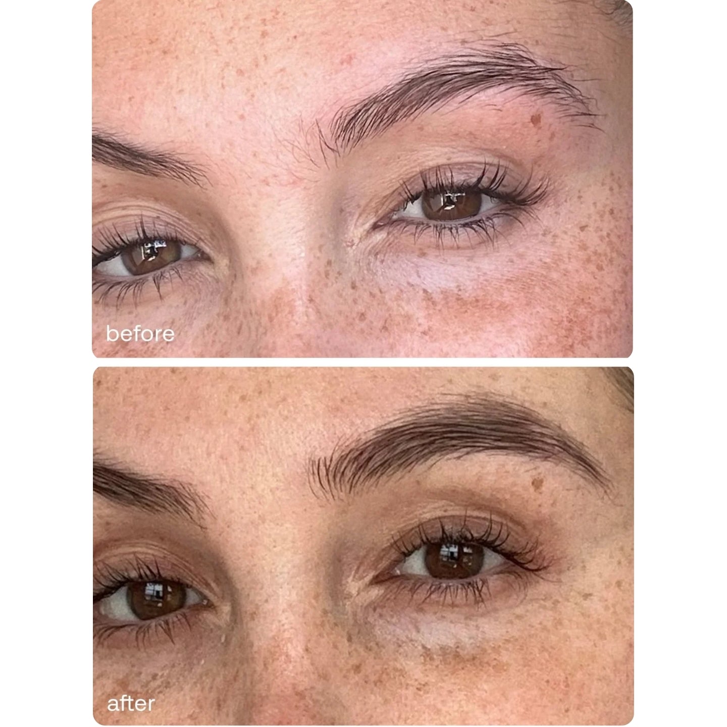 Lavonder Brow Enhancing Serum_before and after