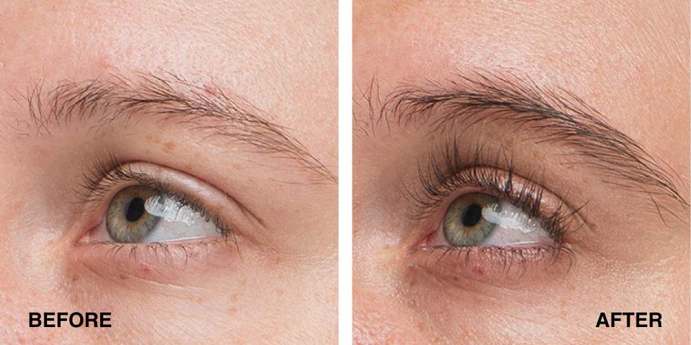 Lavonder Lash And Brow Serum Results 1