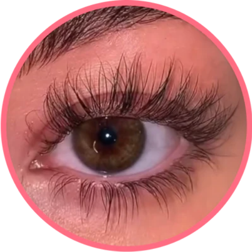 12 weeks results of Lavonder lash serum