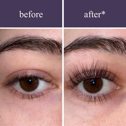 Paquete Wonder para pestañas y cejas
