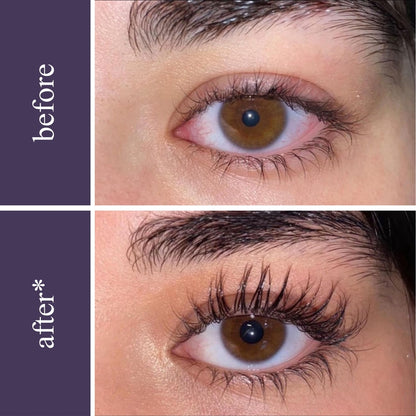 Paquete Wonder para pestañas y cejas