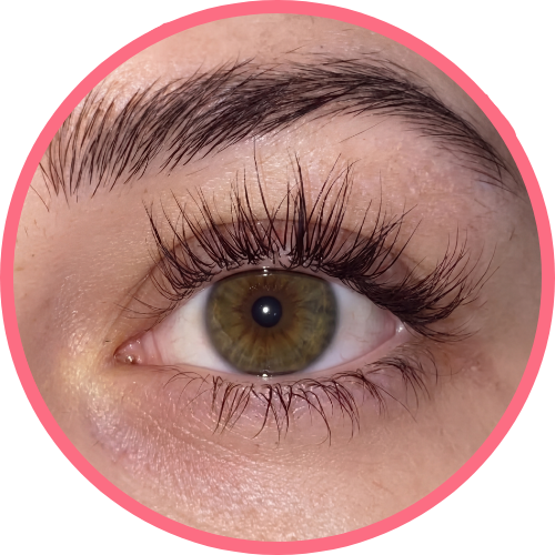 8 week results of Lavonder lash serum